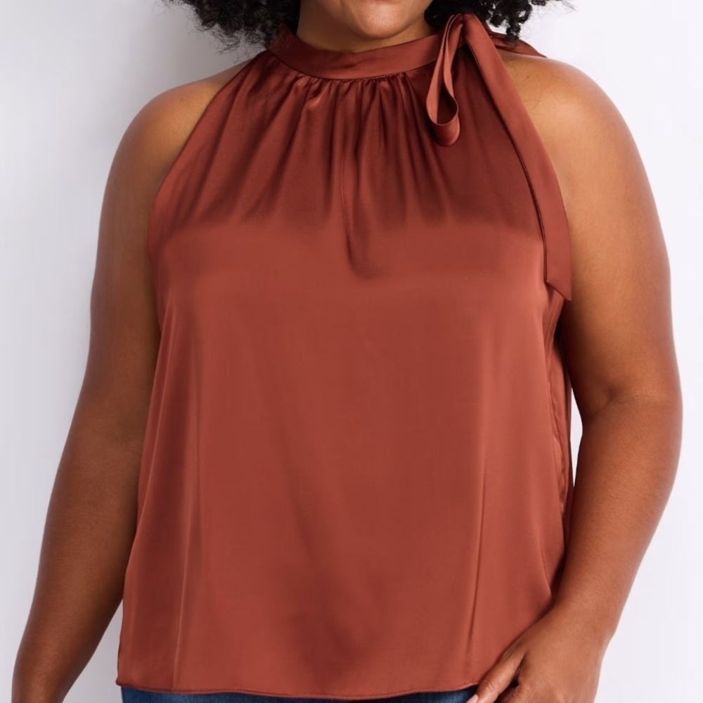 Skies Are Blue Rust Tie-Neck Sleeveless Blouse